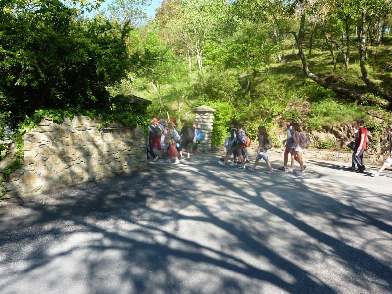 P1020785 [1600x1200].JPG